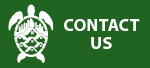 Contact Turtle 2 RE